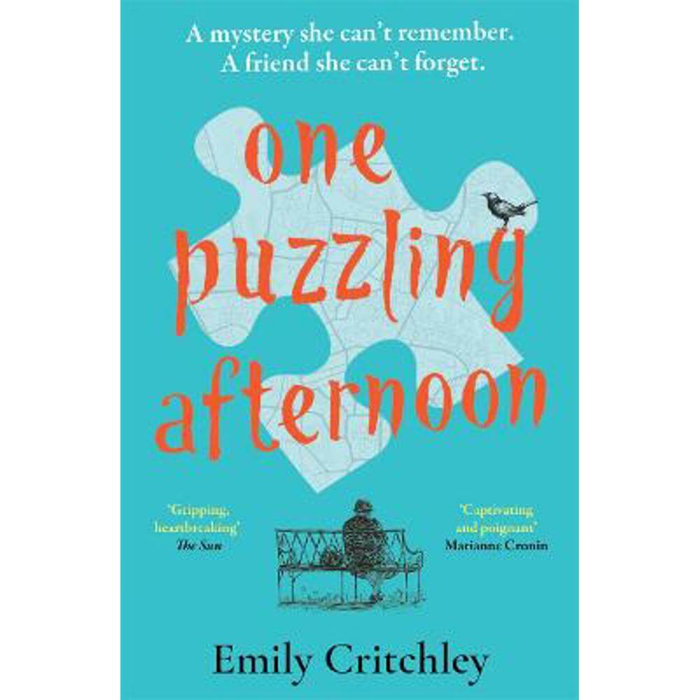 One Puzzling Afternoon: The most compelling, heartbreaking debut mystery (Paperback) - Emily Critchley